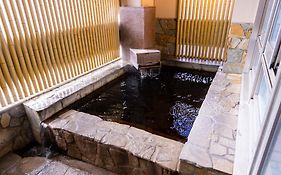 Natural Hot Spring Ariston Hotel Oita